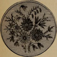 An illustration from Artistic embroidery : containing practical instructions in the ornamental branches of needlework (1880)