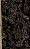 An illustration from Artistic embroidery : containing practical instructions in the ornamental branches of needlework (1880)
