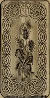 An illustration from Artistic embroidery : containing practical instructions in the ornamental branches of needlework (1880)