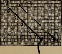 An illustration from Artistic embroidery : containing practical instructions in the ornamental branches of needlework (1880)