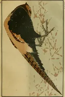 An illustration from Artistic Japan : illustrations and essays (1881)