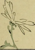 An illustration from Artistic Japan : illustrations and essays (1881)