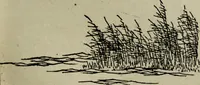 An illustration from Artistic Japan : illustrations and essays (1881)