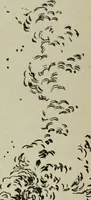An illustration from Artistic Japan : illustrations and essays (1881)