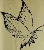 An illustration from Artistic Japan : illustrations and essays (1881)