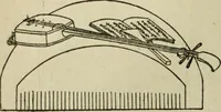 An illustration from Artistic Japan : illustrations and essays (1881)