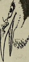 An illustration from Artistic Japan : illustrations and essays (1881)