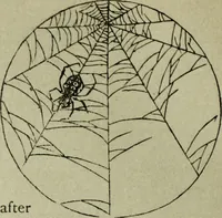 An illustration from Artistic Japan : illustrations and essays (1881)