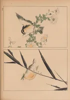An illustration from Artistic Japan : illustrations and essays (1888)