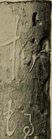 Picture 34 of 51 from An artist's letters from Japan (1897), leaf 173