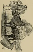 An illustration from An artist's letters from Japan (1897)
