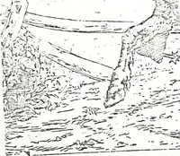 Picture 33 of 69 from Artists of Abraham Lincoln portraits (1863), leaf 72