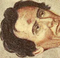 An illustration from Artists of Abraham Lincoln portraits (1913)