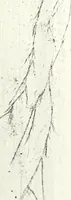 Picture 10 of 41 from Artists of Abraham Lincoln portraits (1893), leaf 46
