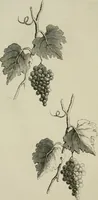 An illustration from Art: its laws, and the reasons for them (1871)