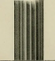 An illustration from Art: its laws, and the reasons for them (1871)