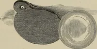 An illustration from Art magic; or, Mudane, sub-mundane and super-mundane spiritism. A treatise ... descriptive of art magic, spiritism, the different orders of spirits in the universe known to be related to, or in communication with man; together with directions for invoking, controlling, and discharging spirits, and the uses and abuses, dangers and possibilities of magical art (1876)