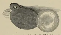 An illustration from Art magic; or, Mudane, sub-mundane and super-mundane spiritism. A treatise ... descriptive of art magic, spiritism, the different orders of spirits in the universe known to be related to, or in communication with man; together with directions for invoking, controlling, and discharging spirits, and the uses and abuses, dangers and possibilities of magical art (1876)