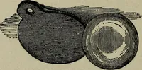 An illustration from Art magic, or, Mudane, sub-mundane and super-mundane spiritism [microform] a treatise in three parts and twenty-three sections, descriptive of art magic, spiritism, the different orders of spirits in the universe known to be related to, or in communication with man; together with directions for invoking, controlling, and discharging spirits, and the uses and abuses, dangers and possibilities of magical art (1898)