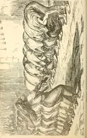 Picture 9 of 35 from Art magic; or, Mundane, sub-mundane and super-mundane spiritism. A treatise in three parts and twenty-three sections: descriptive of art magic, spiritism, the different orders of spirits in the universe known to be related to, or in communication with man; together with directions for invoking, controlling, and discharging spirits, and the uses and abuses, dangers and possibilities of magical art (1876), leaf 205
