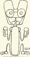 An illustration from Art and man, comparative art studies (1918)
