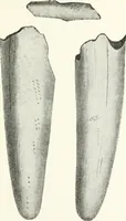 An illustration from Art and man, comparative art studies (1918)