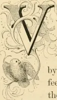 An illustration from Art and nature under an Italian sky (1852)