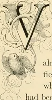 An illustration from Art and nature under an Italian sky (1852)
