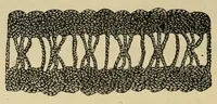 Picture 3 of 17 from Art needlework (1891), leaf 40