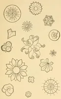 An illustration from Art needlework (1893)