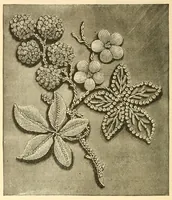 An illustration from Art needlework (1893)