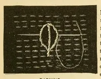 An illustration from Art needlework (1893)