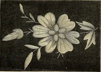 An illustration from Art needlework. A complete manual of embroidery in silks and crewels, with full instructions as to stitches, materials, and implements. Containing also a large number of original designs and a handsome coloured design for crewel work (1882)