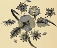 An illustration from Art needlework. A complete manual of embroidery in silks and crewels, with full instructions as to stitches, materials, and implements. Containing also a large number of original designs and a handsome coloured design for crewel work (1882)