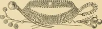An illustration from Art needlework. A complete manual of embroidery in silks and crewels, with full instructions as to stitches, materials, and implements. Containing also a large number of original designs and a handsome coloured design for crewel work (1882)