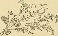 An illustration from Art needlework. A complete manual of embroidery in silks and crewels, with full instructions as to stitches, materials, and implements. Containing also a large number of original designs and a handsome coloured design for crewel work (1882)