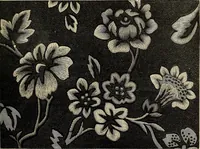An illustration from Art needlework. A complete manual of embroidery in silks and crewels, with full instructions as to stitches, materials, and implements. Containing also a large number of original designs and a handsome coloured design for crewel work (1882)