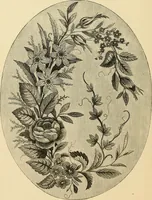 An illustration from Art needlework. A complete manual of embroidery in silks and crewels, with full instructions as to stitches, materials, and implements. Containing also a large number of original designs and a handsome coloured design for crewel work (1882)