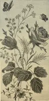 An illustration from Art needlework. A complete manual of embroidery in silks and crewels, with full instructions as to stitches, materials, and implements. Containing also a large number of original designs and a handsome coloured design for crewel work (1882)