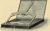 An illustration from Art needlework. A complete manual of embroidery in silks and crewels, with full instructions as to stitches, materials, and implements. Containing also a large number of original designs and a handsome coloured design for crewel work (1882)