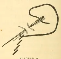 An illustration from Art-needlework for decorative embroidery; (1879)