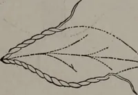 Picture 3 of 22 from Art-needlework for decorative embroidery : a guide to embroidery in crewels, silks, appliqué, etc. ... (1879), leaf 10