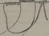 An illustration from Art-needlework for decorative embroidery : a guide to embroidery in crewels, silks, appliqué, etc. ... (1879)