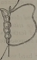 An illustration from Art-needlework for decorative embroidery : a guide to embroidery in crewels, silks, appliqué, etc. ... (1879)