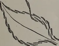 An illustration from Art-needlework for decorative embroidery : a guide to embroidery in crewels, silks, appliqué, etc. ... (1879)