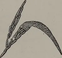Picture 21 of 22 from Art-needlework for decorative embroidery : a guide to embroidery in crewels, silks, appliqué, etc. ... (1879), leaf 52