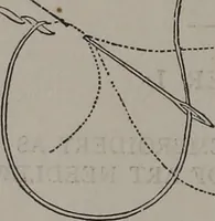 An illustration from Art-needlework for decorative embroidery : a guide to embroidery in crewels, silks, appliqué, etc. ... (1879)