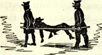 Picture 116 of 118 from The art of amusing : being a collection of graceful arts, merry games, odd tricks, curious puzzles, and new charades : together with suggestions for private theatricals, tableaux, and all sorts of parlor and family amusements (1866), leaf 329