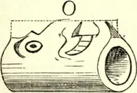 Picture 19 of 118 from The art of amusing : being a collection of graceful arts, merry games, odd tricks, curious puzzles, and new charades : together with suggestions for private theatricals, tableaux, and all sorts of parlor and family amusements (1866), leaf 56