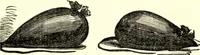 Picture 24 of 118 from The art of amusing : being a collection of graceful arts, merry games, odd tricks, curious puzzles, and new charades : together with suggestions for private theatricals, tableaux, and all sorts of parlor and family amusements (1866), leaf 72